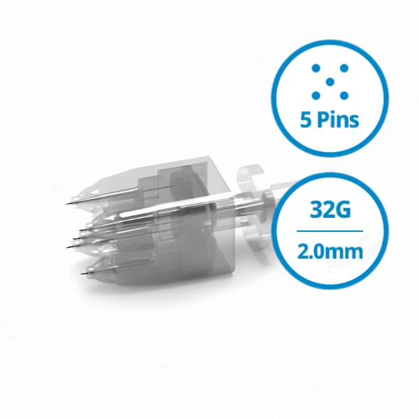CRYSTAL MULTI NEEDLE 5 PINS 2.0MM - AceCosm